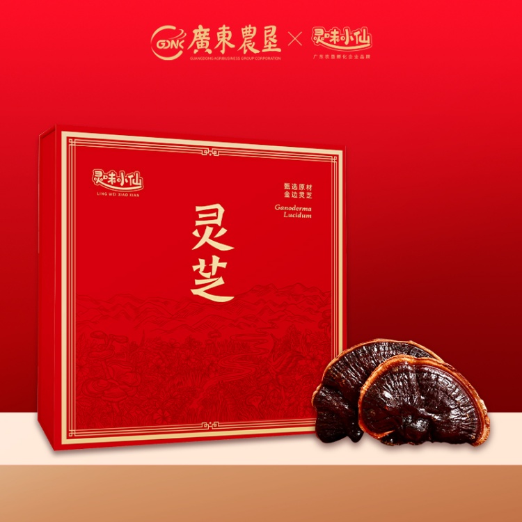 广东农垦灵味小仙金边灵芝698型-仙芝颂福