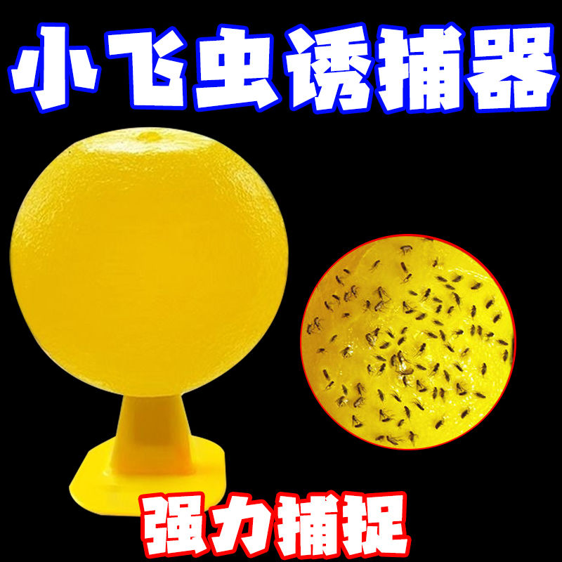防蚊家用小飞虫克星室内果蝇诱捕器宿舍防蚊虫一扫光小飞虫粘虫球