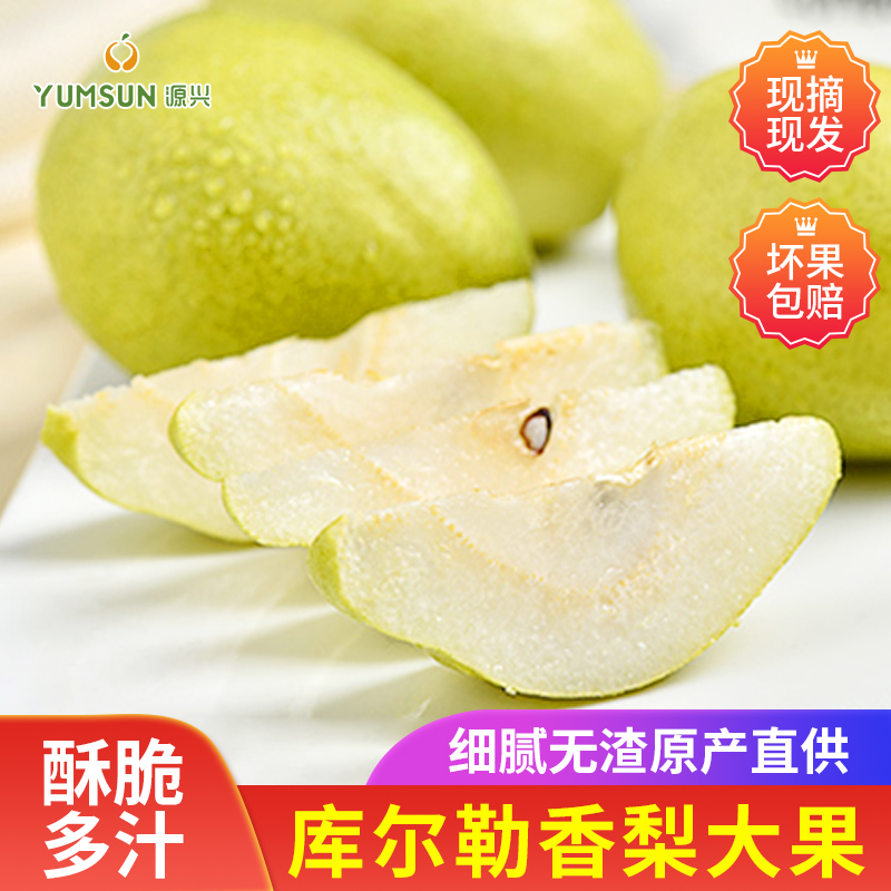 源兴库尔勒香梨当季新鲜水果一级梨子薄皮孕妇送礼整箱